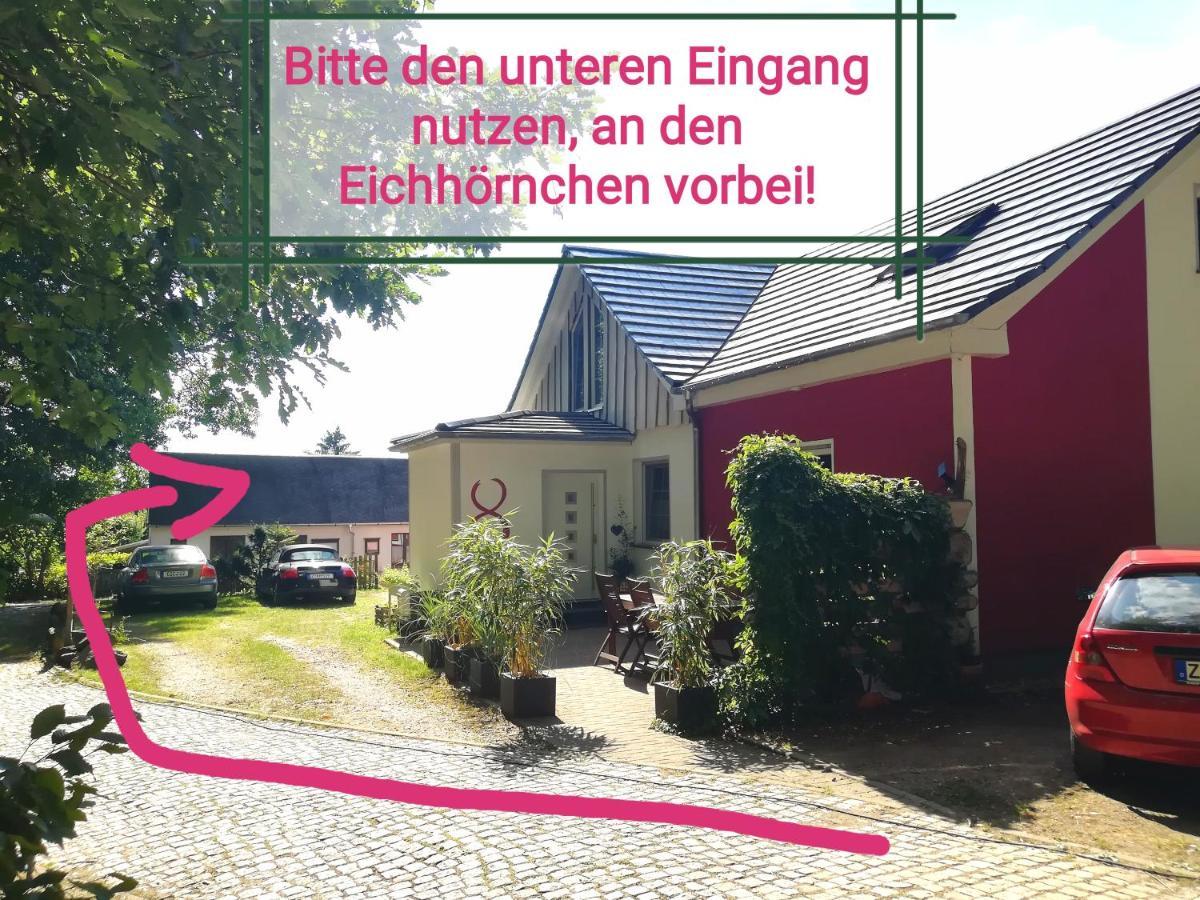 Kleines Studio Im Eichenwaeldchen, 1 Zimmer Kueche Bad Friedrichsgrun Экстерьер фото