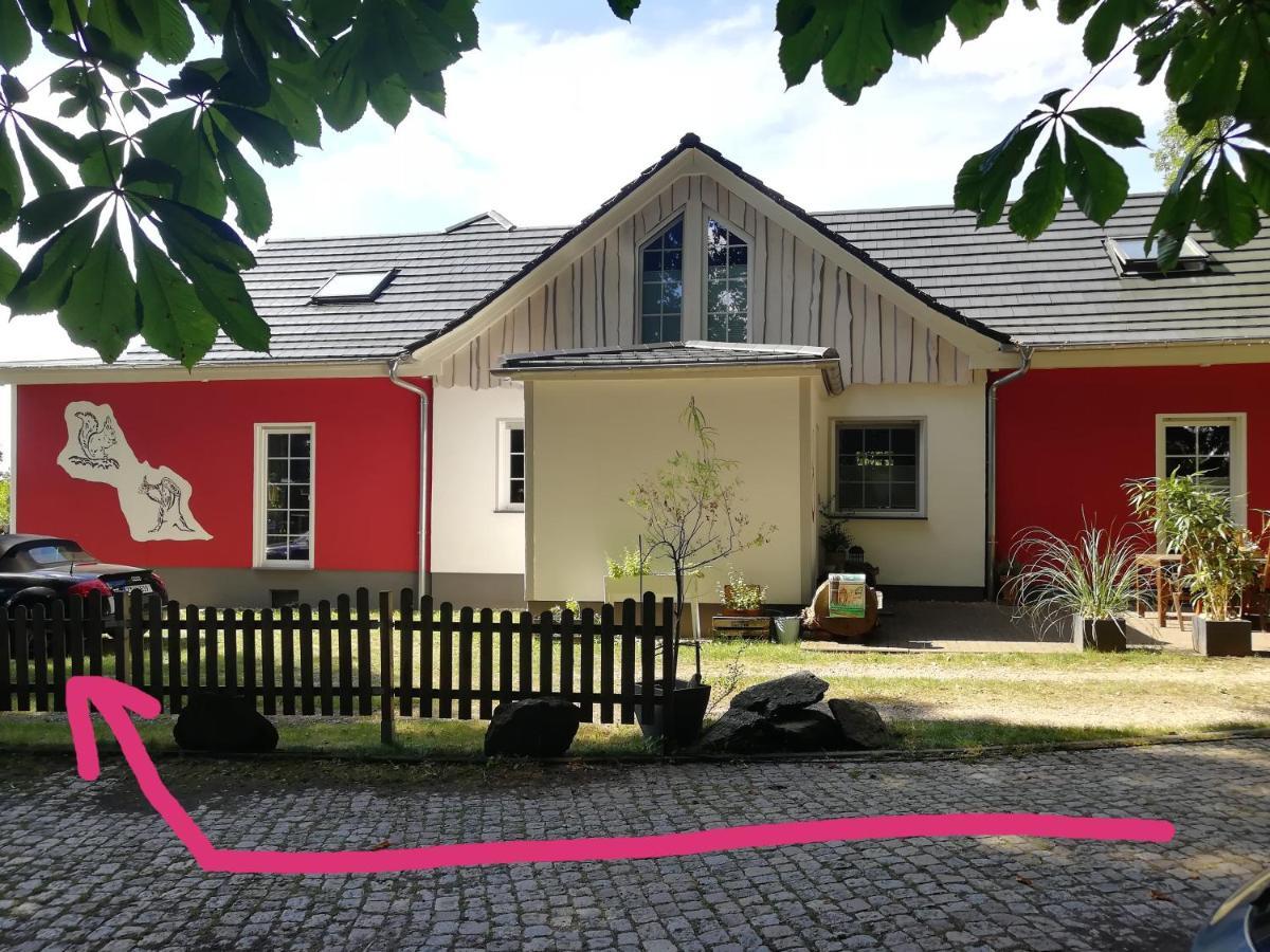 Kleines Studio Im Eichenwaeldchen, 1 Zimmer Kueche Bad Friedrichsgrun Экстерьер фото